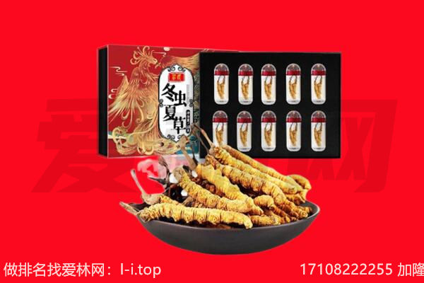 石河子可克达拉市回收虫草.jpg